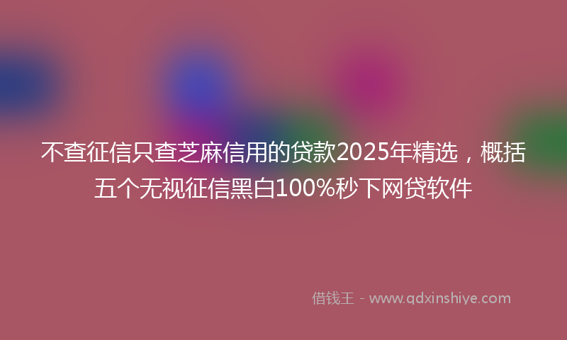 不查征信只查芝麻信用的贷款2025年精选，概括五个无视征信黑白100%秒下网贷软件
