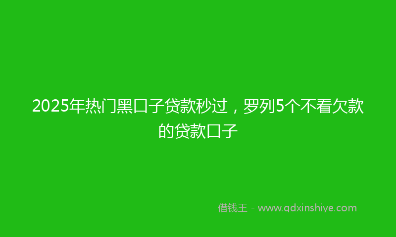 2025年热门黑口子贷款秒过，罗列5个不看欠款的贷款口子