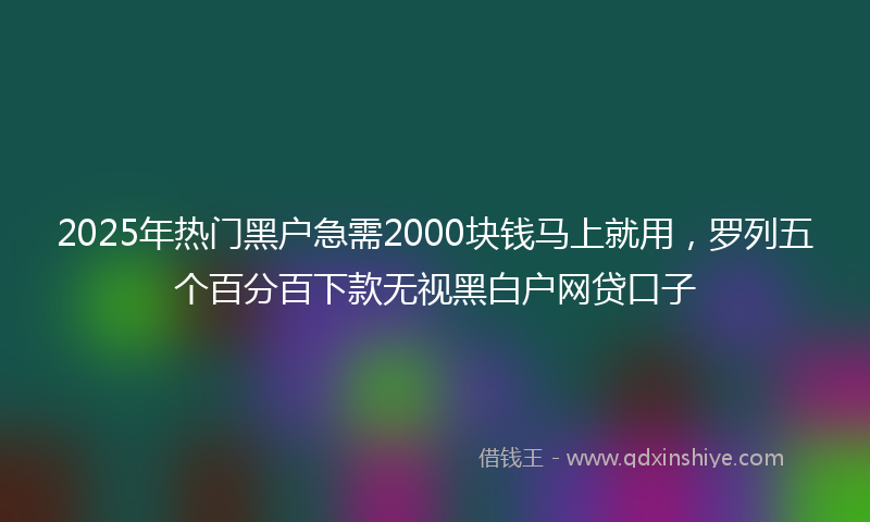 2025年热门黑户急需2000块钱马上就用,罗列五个百分百下款无视黑白户网贷口子