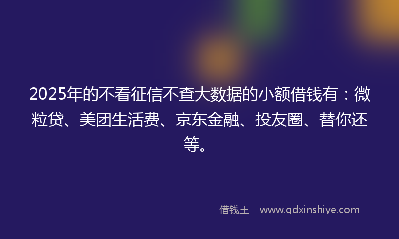 2025年的不看征信不查大数据的小额借钱有：微粒贷、美团生活费、京东金融、投友圈、替你还等。