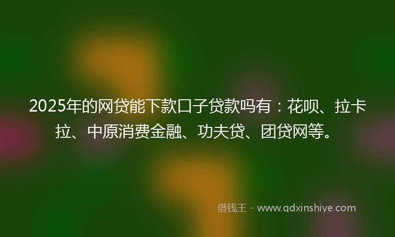 2025年的网贷能下款口子贷款吗有：花呗、拉卡拉、中原消费金融、功夫贷、团贷网等。