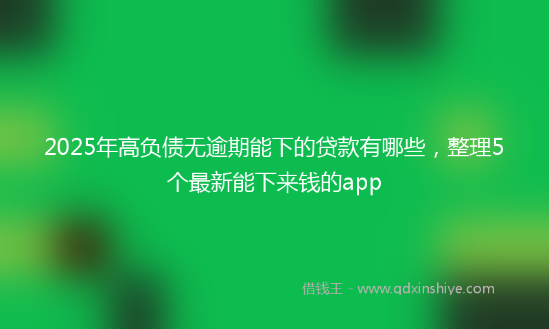 2025年高负债无逾期能下的贷款有哪些，整理5个最新能下来钱的app