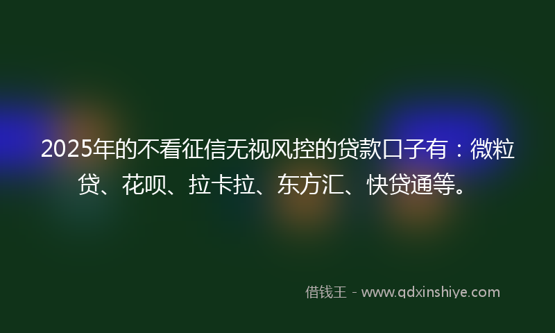 2025年的不看征信无视风控的贷款口子有：微粒贷、花呗、拉卡拉、东方汇、快贷通等。