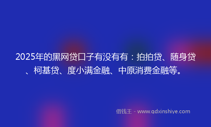 2025年的黑网贷口子有没有有：拍拍贷、随身贷、柯基贷、度小满金融、中原消费金融等。