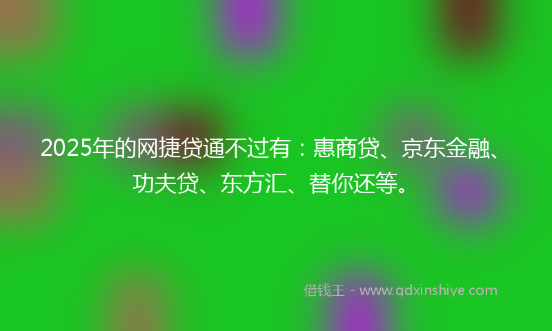 2025年的网捷贷通不过有：惠商贷、京东金融、功夫贷、东方汇、替你还等。