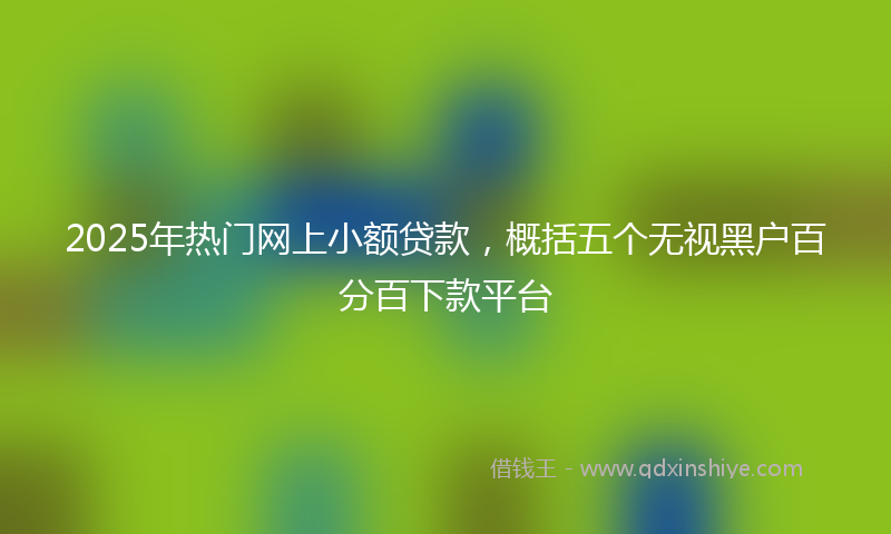 2025年热门网上小额贷款，概括五个无视黑户百分百下款平台