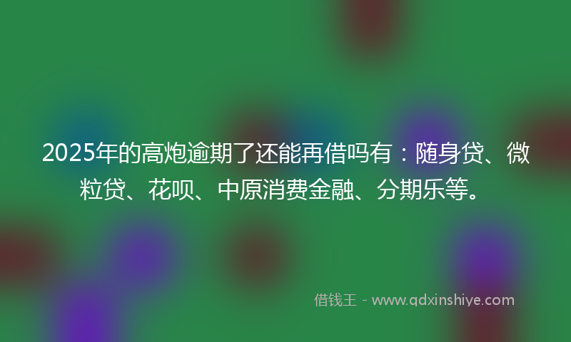 2025年的高炮逾期了还能再借吗有：随身贷、微粒贷、花呗、中原消费金融、分期乐等。