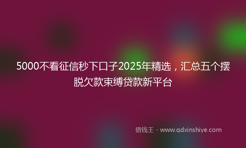 5000不看征信秒下口子2025年精选，汇总五个摆脱欠款束缚贷款新平台