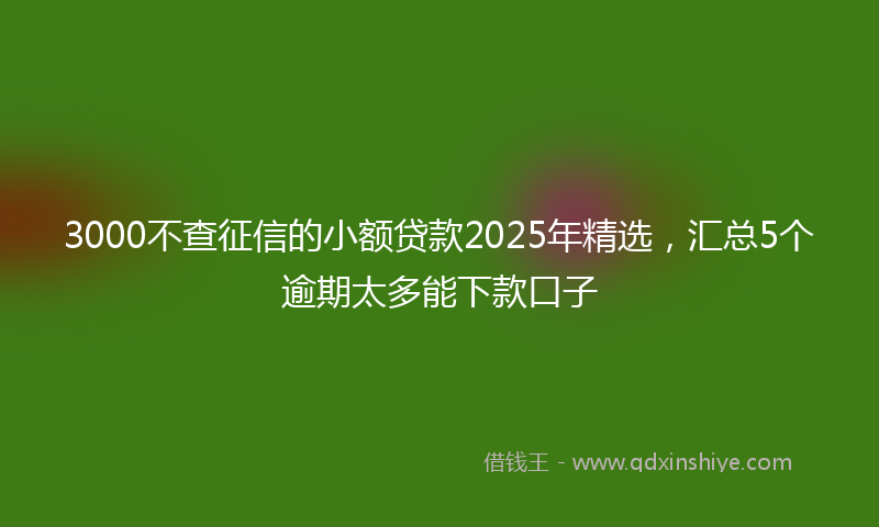 3000不查征信的小额贷款2025年精选，汇总5个逾期太多能下款口子