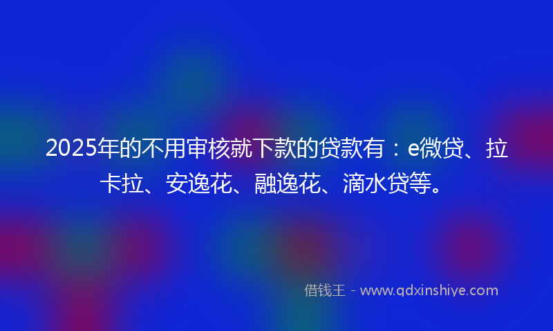 2025年的不用审核就下款的贷款有：e微贷、拉卡拉、安逸花、融逸花、滴水贷等。