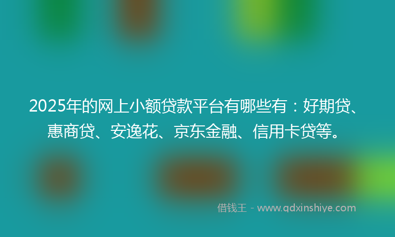 2025年的网上小额贷款平台有哪些有：好期贷、惠商贷、安逸花、京东金融、信用卡贷等。