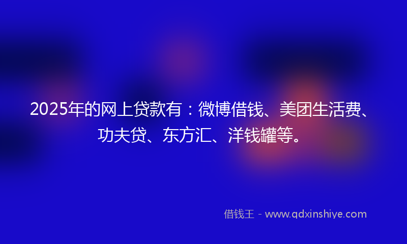 2025年的网上贷款有：微博借钱、美团生活费、功夫贷、东方汇、洋钱罐等。