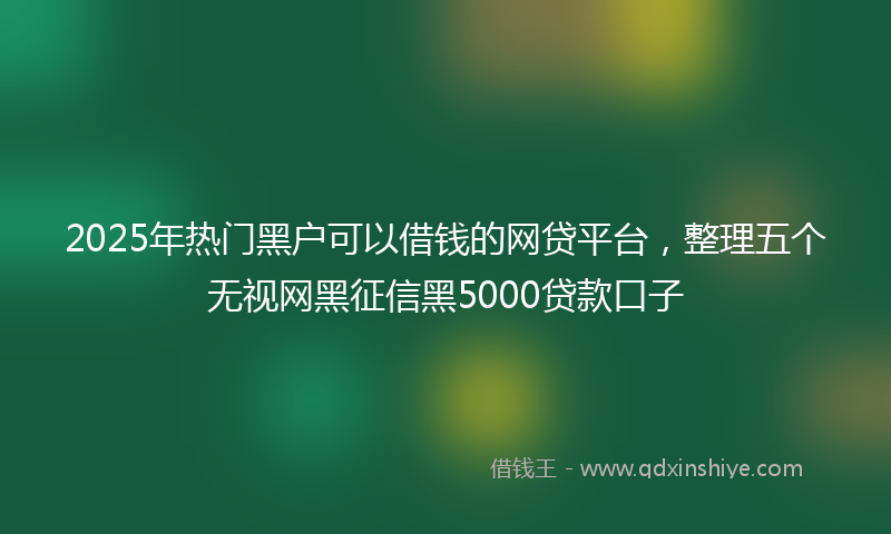2025年热门黑户可以借钱的网贷平台，整理五个无视网黑征信黑5000贷款口子