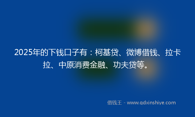 2025年的下钱口子有：柯基贷、微博借钱、拉卡拉、中原消费金融、功夫贷等。