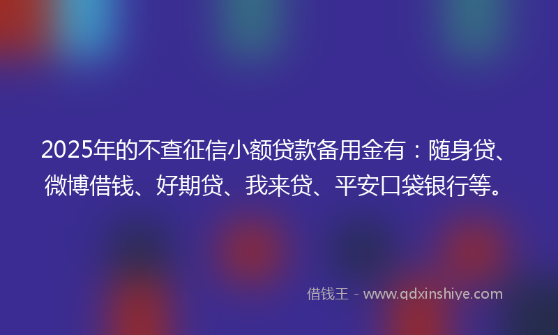 2025年的不查征信小额贷款备用金有：随身贷、微博借钱、好期贷、我来贷、平安口袋银行等。