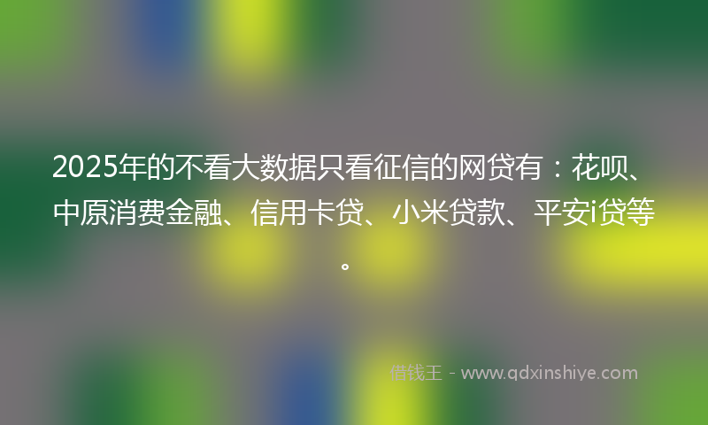 2025年的不看大数据只看征信的网贷有：花呗、中原消费金融、信用卡贷、小米贷款、平安i贷等。