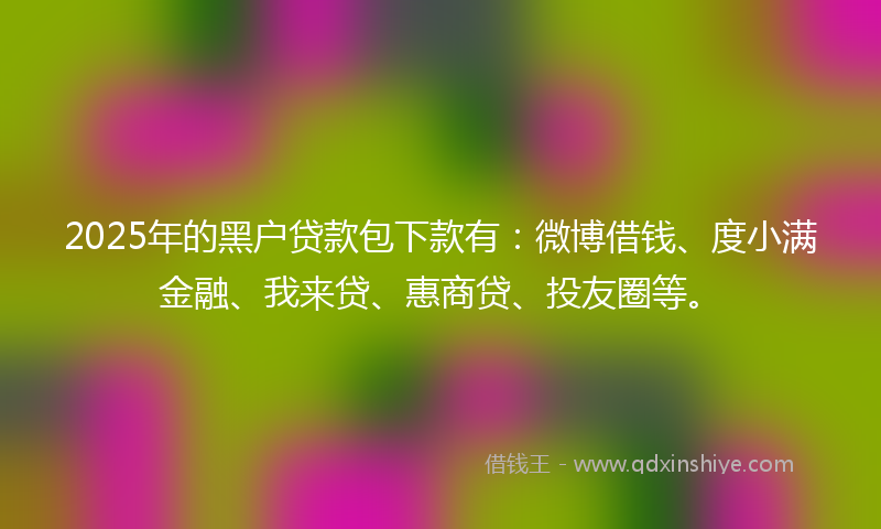 2025年的黑户贷款包下款有：微博借钱、度小满金融、我来贷、惠商贷、投友圈等。