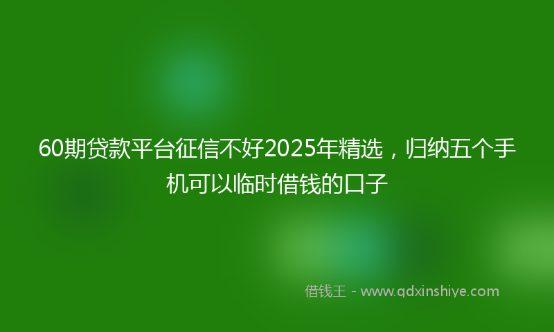 60期贷款平台征信不好2025年精选,归纳五个手机可以临时借钱的口子