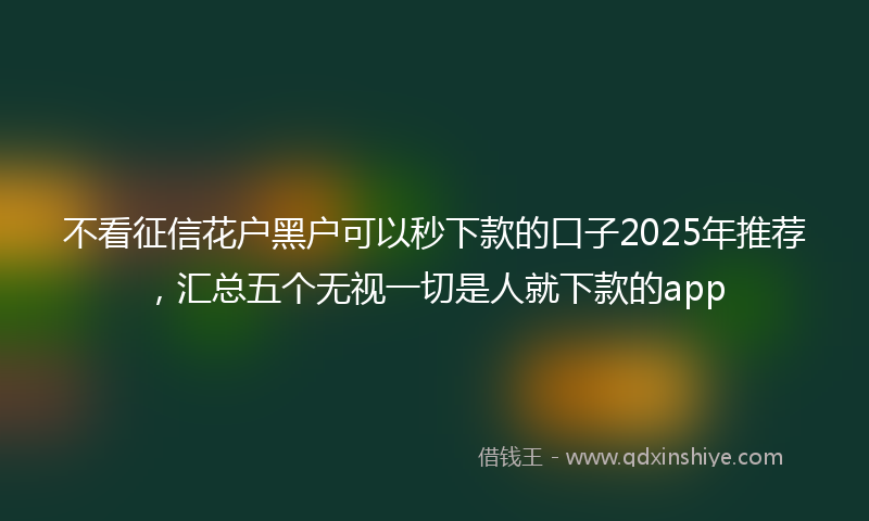 不看征信花户黑户可以秒下款的口子2025年推荐，汇总五个无视一切是人就下款的app