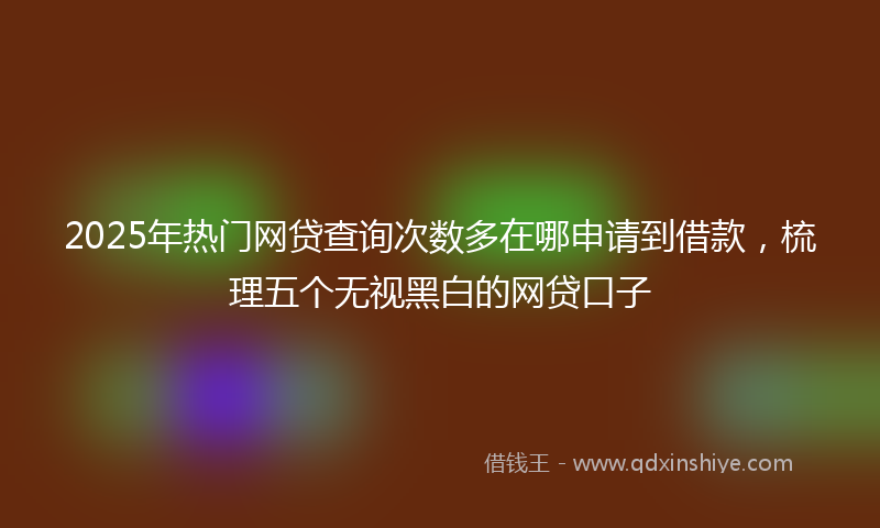 2025年热门网贷查询次数多在哪申请到借款，梳理五个无视黑白的网贷口子