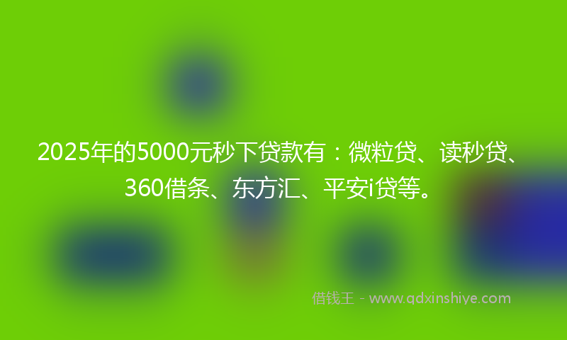 2025年的5000元秒下贷款有:微粒贷、读秒贷、360借条、东方汇、平安i贷等。