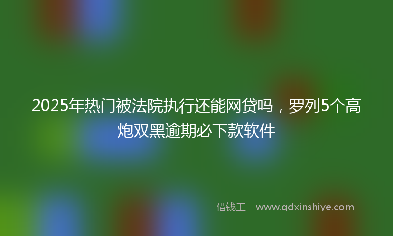 2025年热门被法院执行还能网贷吗，罗列5个高炮双黑逾期必下款软件