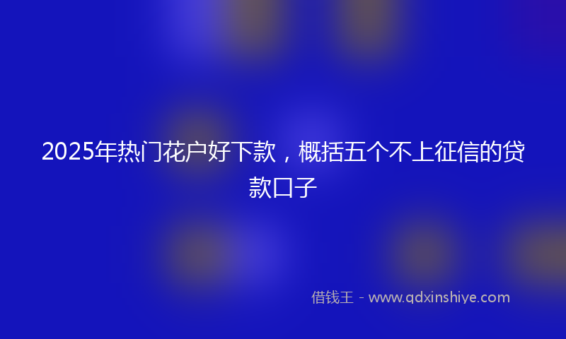 2025年热门花户好下款，概括五个不上征信的贷款口子