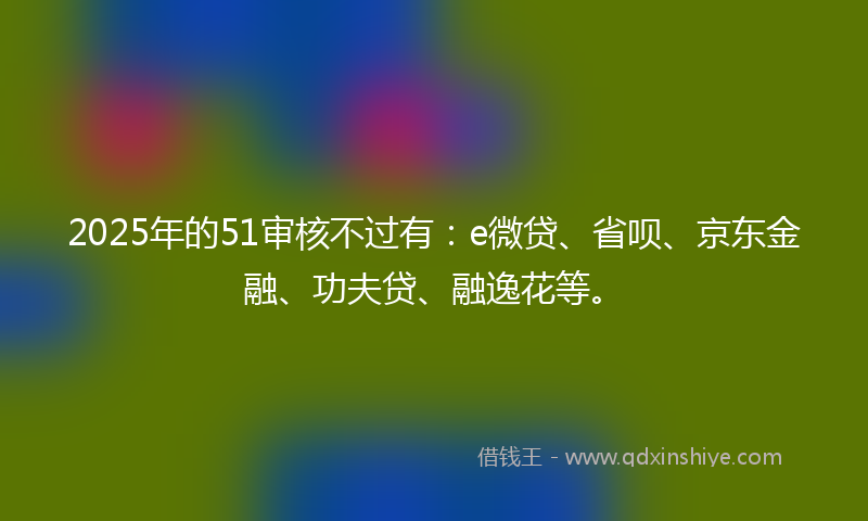 2025年的51审核不过有：e微贷、省呗、京东金融、功夫贷、融逸花等。
