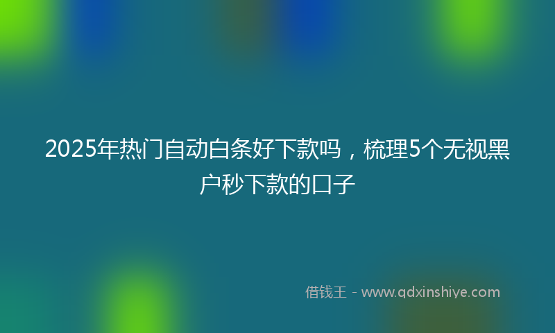 2025年热门自动白条好下款吗，梳理5个无视黑户秒下款的口子