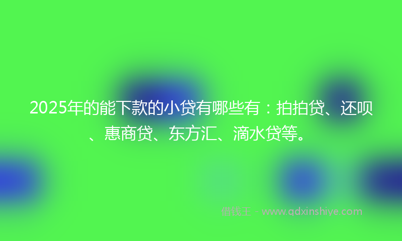 2025年的能下款的小贷有哪些有：拍拍贷、还呗、惠商贷、东方汇、滴水贷等。