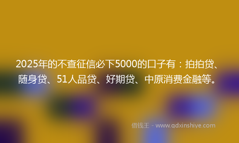 2025年的不查征信必下5000的口子有：拍拍贷、随身贷、51人品贷、好期贷、中原消费金融等。
