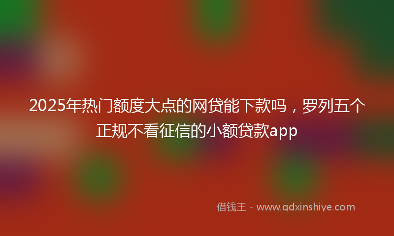 2025年热门额度大点的网贷能下款吗，罗列五个正规不看征信的小额贷款app