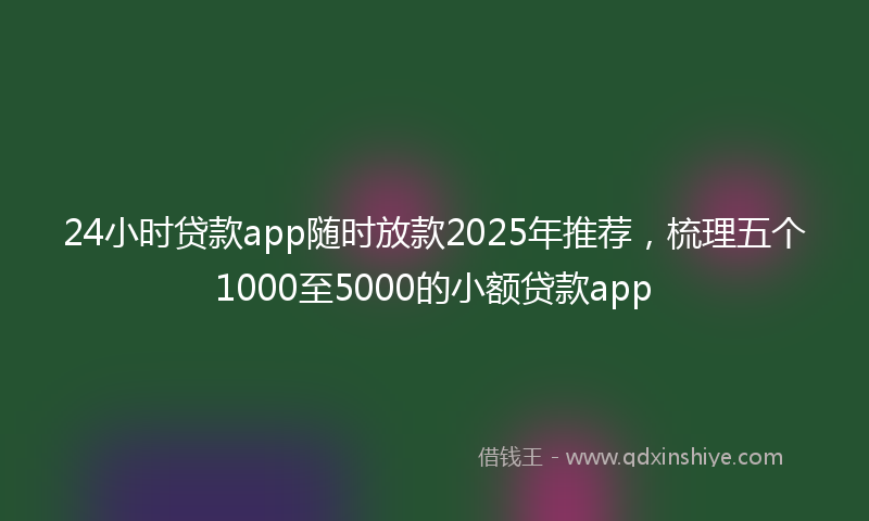 24小时贷款app随时放款2025年推荐，梳理五个1000至5000的小额贷款app
