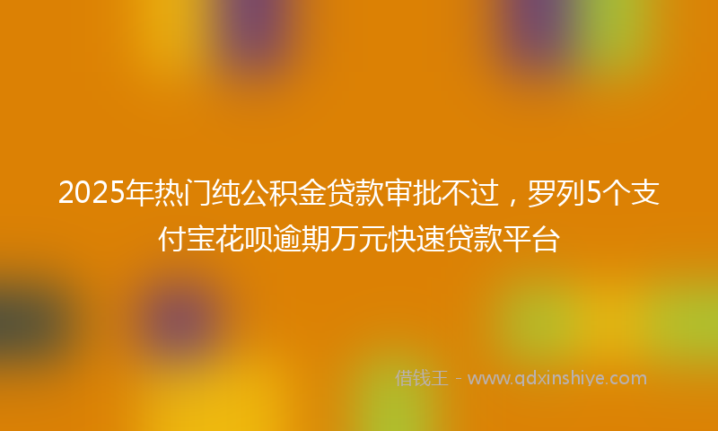 2025年热门纯公积金贷款审批不过，罗列5个支付宝花呗逾期万元快速贷款平台