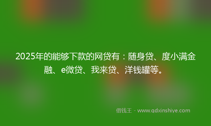 2025年的能够下款的网贷有：随身贷、度小满金融、e微贷、我来贷、洋钱罐等。