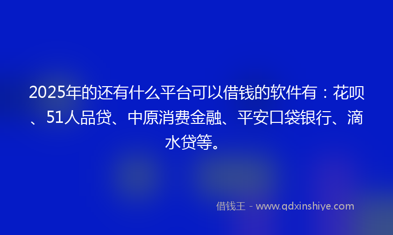 2025年的还有什么平台可以借钱的软件有:花呗、51人品贷、中原消费金融、平安口袋银行、滴水贷等。