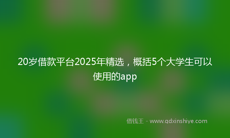 20岁借款平台2025年精选，概括5个大学生可以使用的app
