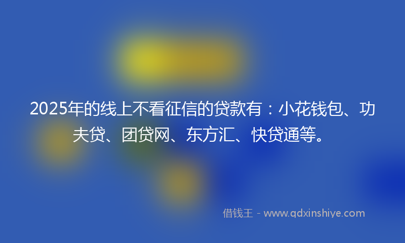 2025年的线上不看征信的贷款有：小花钱包、功夫贷、团贷网、东方汇、快贷通等。