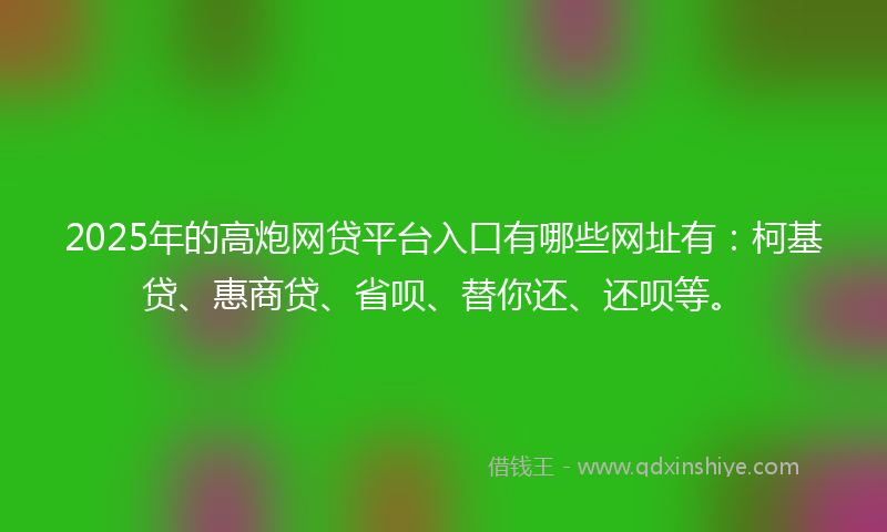 2025年的高炮网贷平台入口有哪些网址有：柯基贷、惠商贷、省呗、替你还、还呗等。
