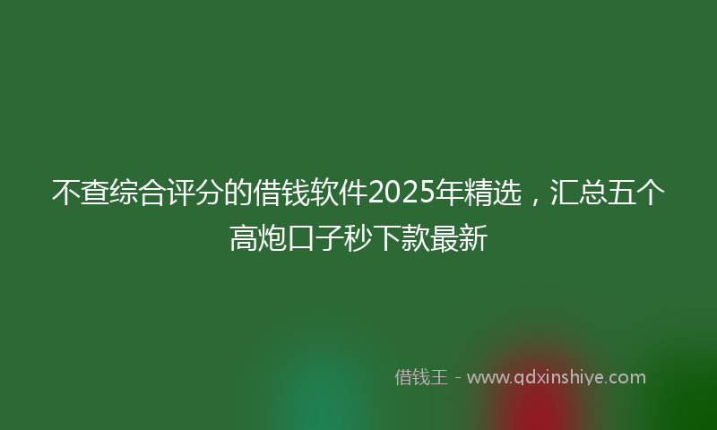 不查综合评分的借钱软件2025年精选，汇总五个高炮口子秒下款最新