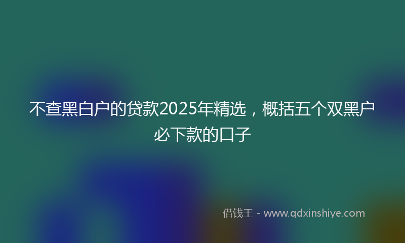 不查黑白户的贷款2025年精选，概括五个双黑户必下款的口子