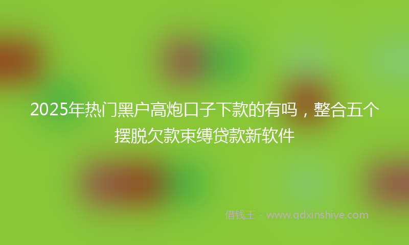 2025年热门黑户高炮口子下款的有吗，整合五个摆脱欠款束缚贷款新软件
