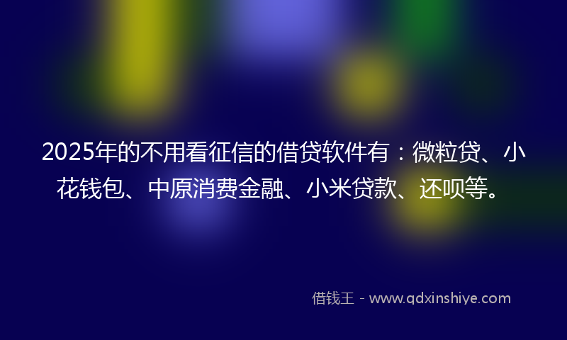 2025年的不用看征信的借贷软件有：微粒贷、小花钱包、中原消费金融、小米贷款、还呗等。