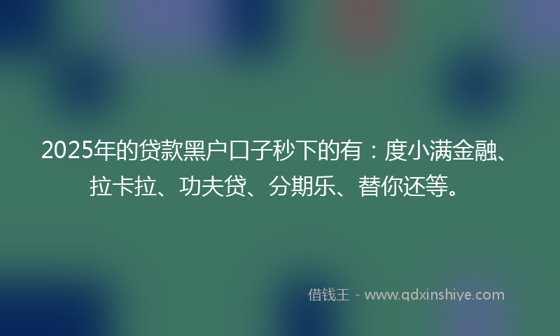 2025年的贷款黑户口子秒下的有：度小满金融、拉卡拉、功夫贷、分期乐、替你还等。