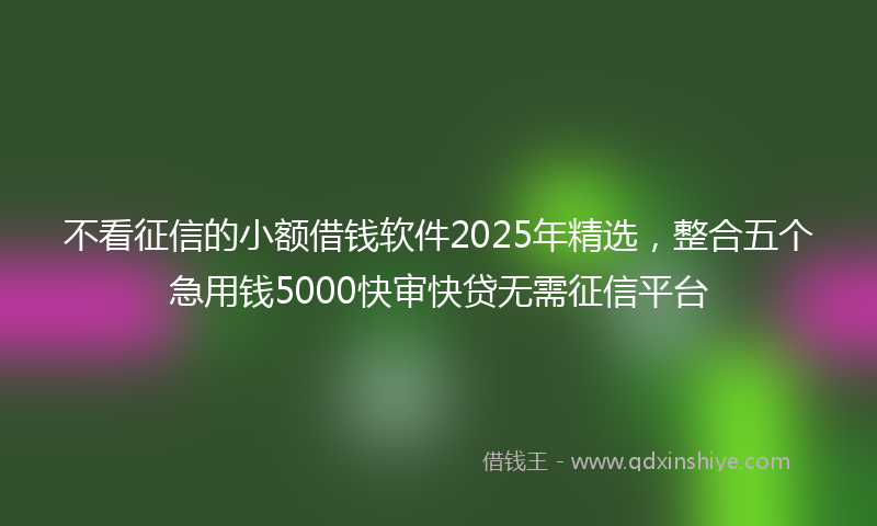 不看征信的小额借钱软件2025年精选，整合五个急用钱5000快审快贷无需征信平台