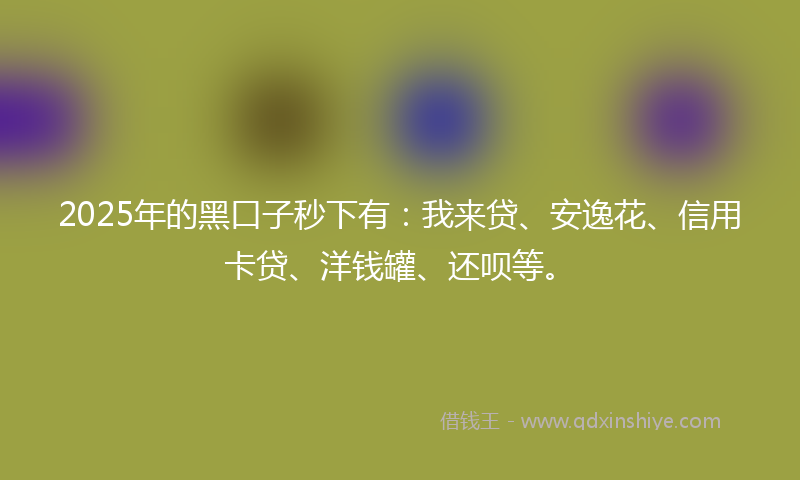 2025年的黑口子秒下有：我来贷、安逸花、信用卡贷、洋钱罐、还呗等。