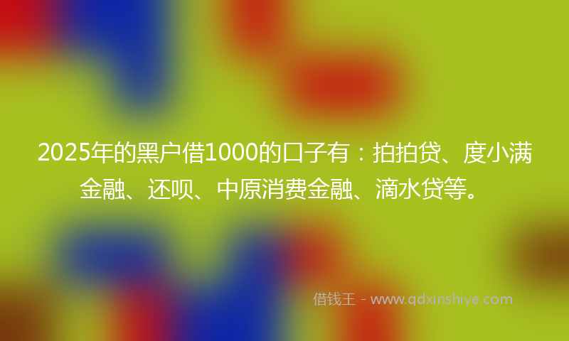 2025年的黑户借1000的口子有：拍拍贷、度小满金融、还呗、中原消费金融、滴水贷等。