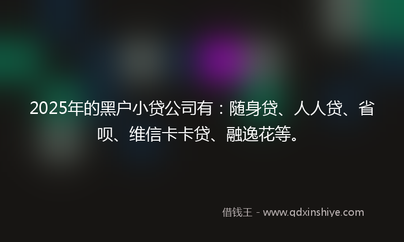 2025年的黑户小贷公司有：随身贷、人人贷、省呗、维信卡卡贷、融逸花等。