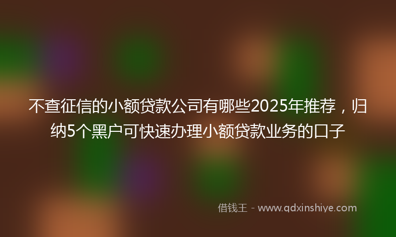 不查征信的小额贷款公司有哪些2025年推荐，归纳5个黑户可快速办理小额贷款业务的口子