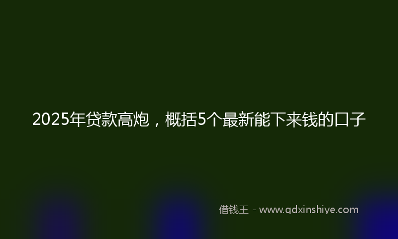 2025年贷款高炮，概括5个最新能下来钱的口子